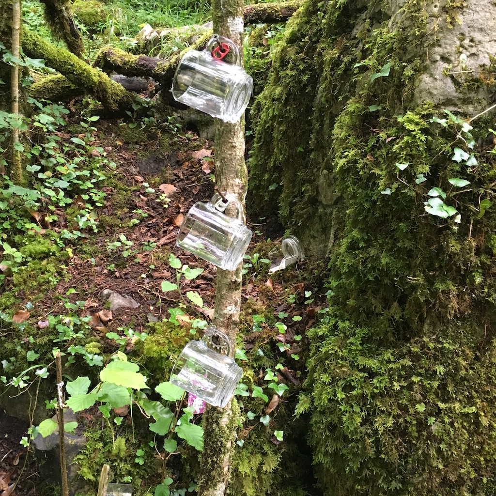 Holy Well Burren, Co Clare, Ireland