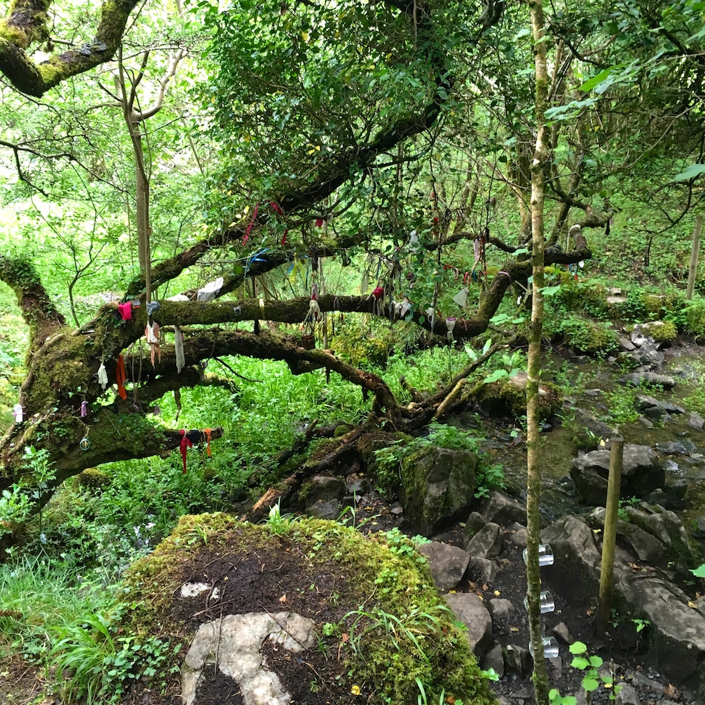 Holy Well Burren, Co Clare, Ireland
