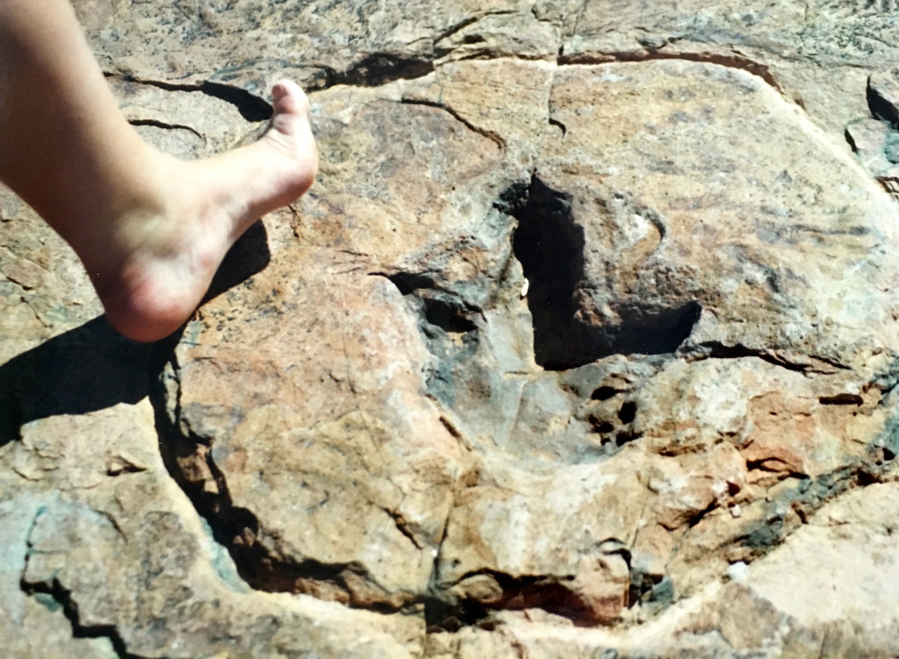 dinosaur tracks