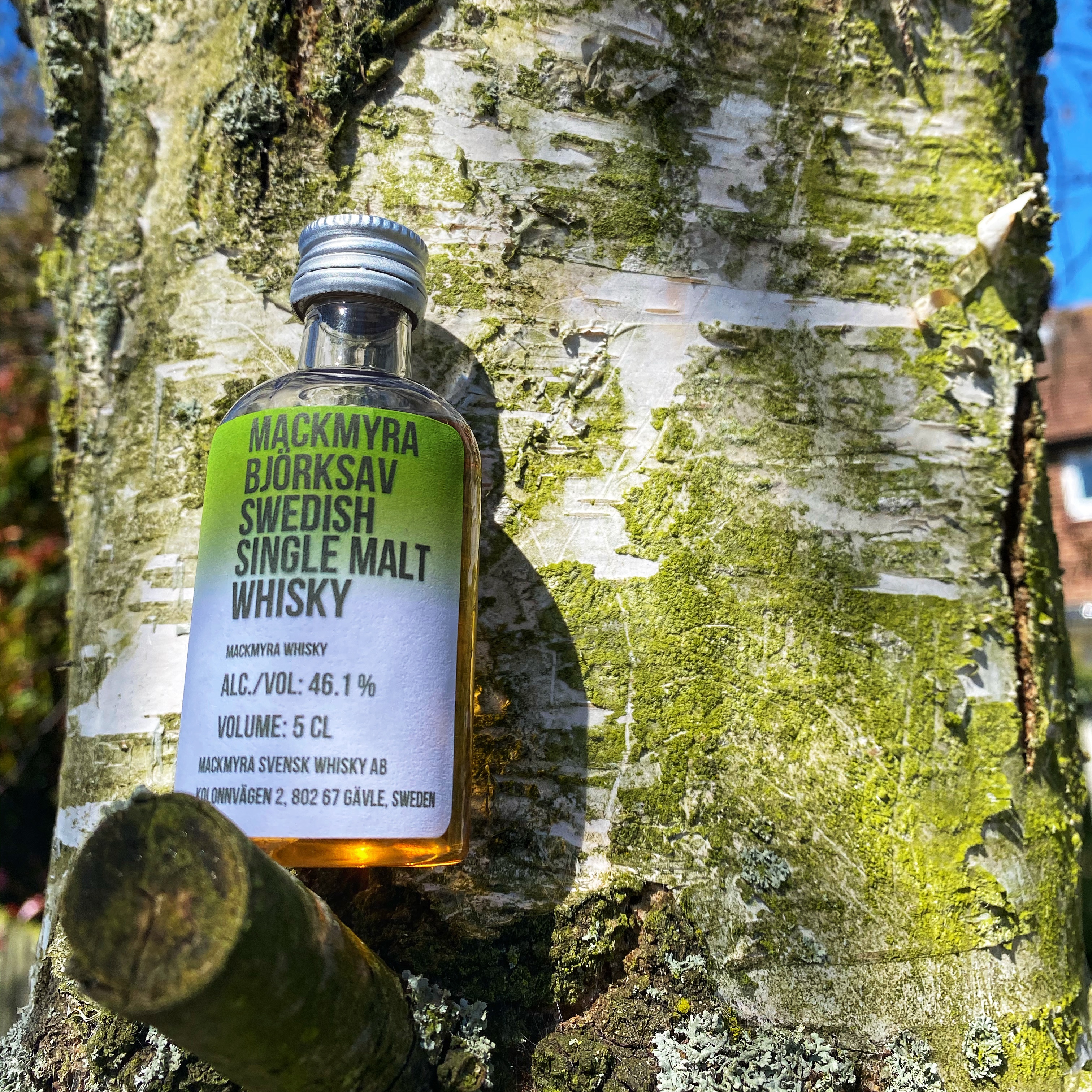 Tasting Notes: Mackmyra – Björksav – whisky unplugged