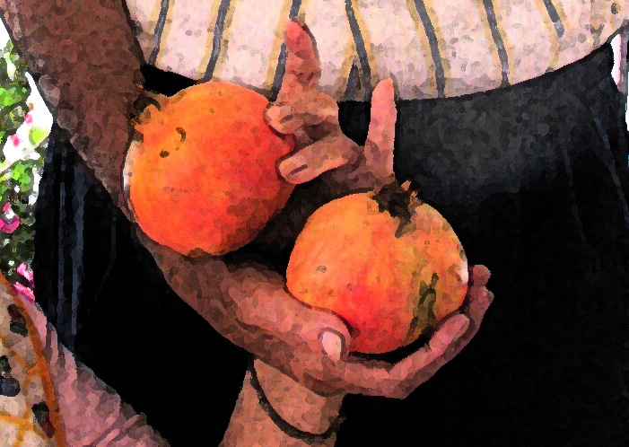 Grandad pomegranates