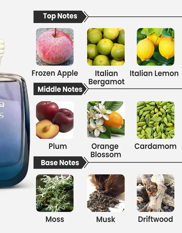 Rasasi Hawas Ice Perfume All notes