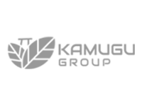 Client Logo 12