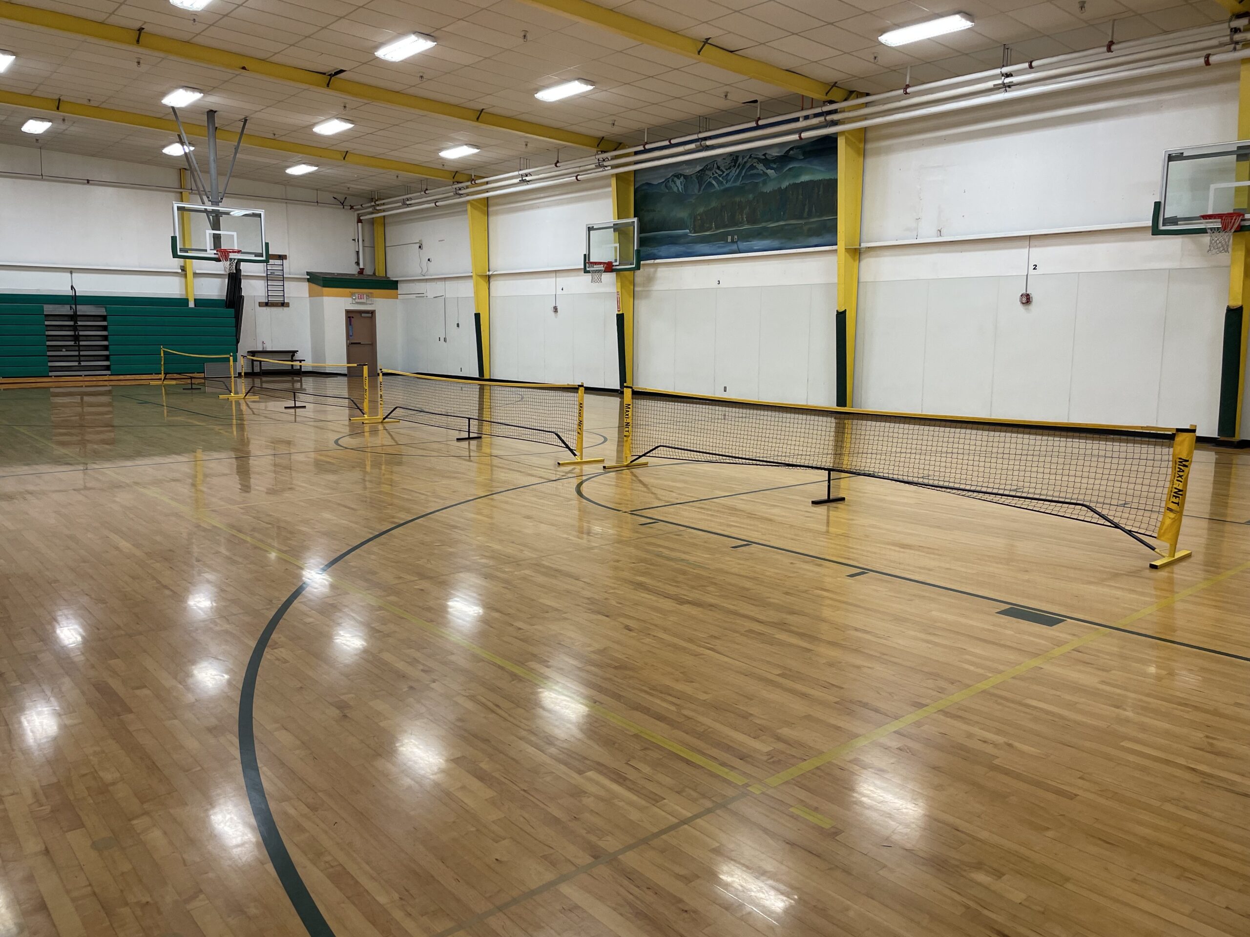 Pickleball/Badminton Nets
