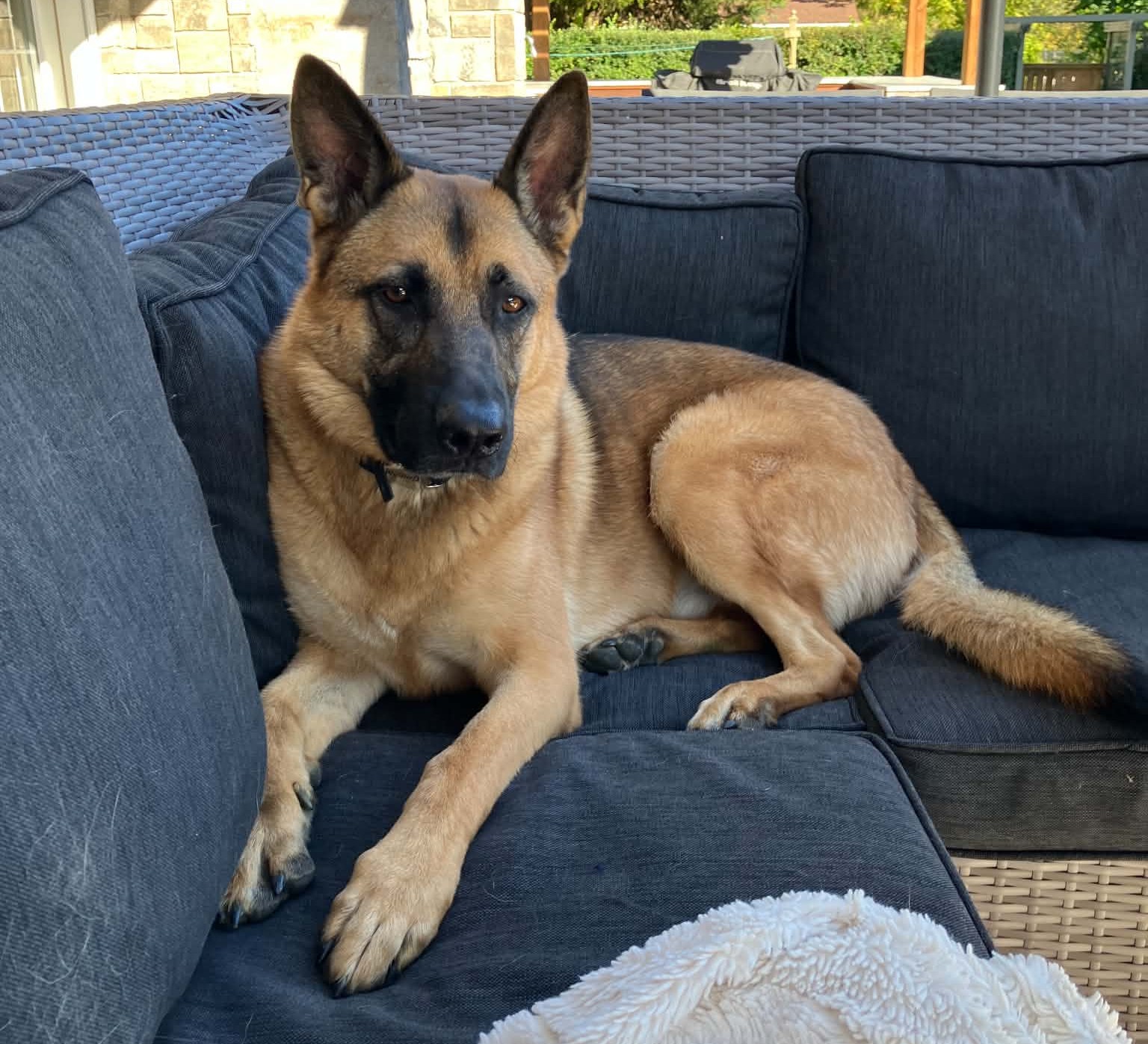 murphy