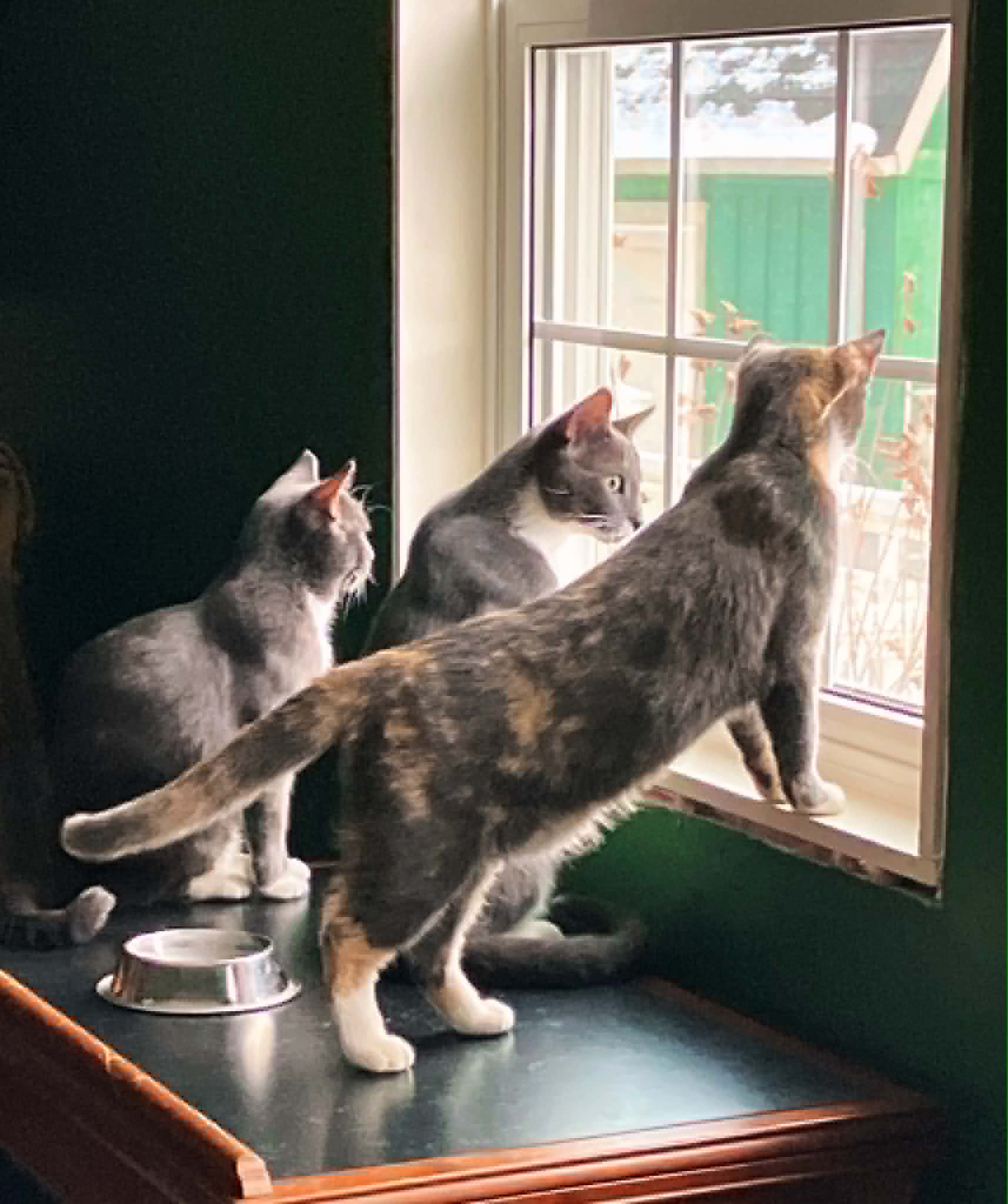trio