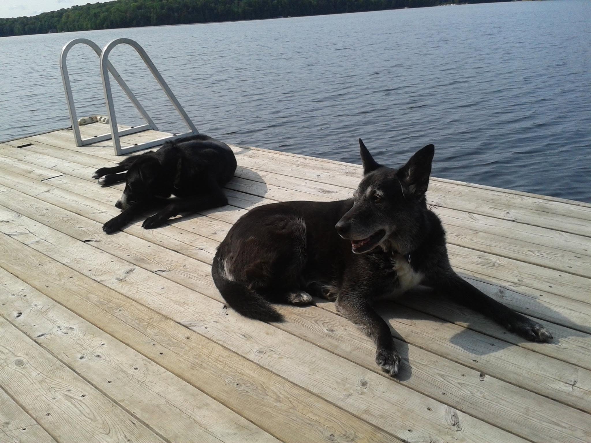 dock