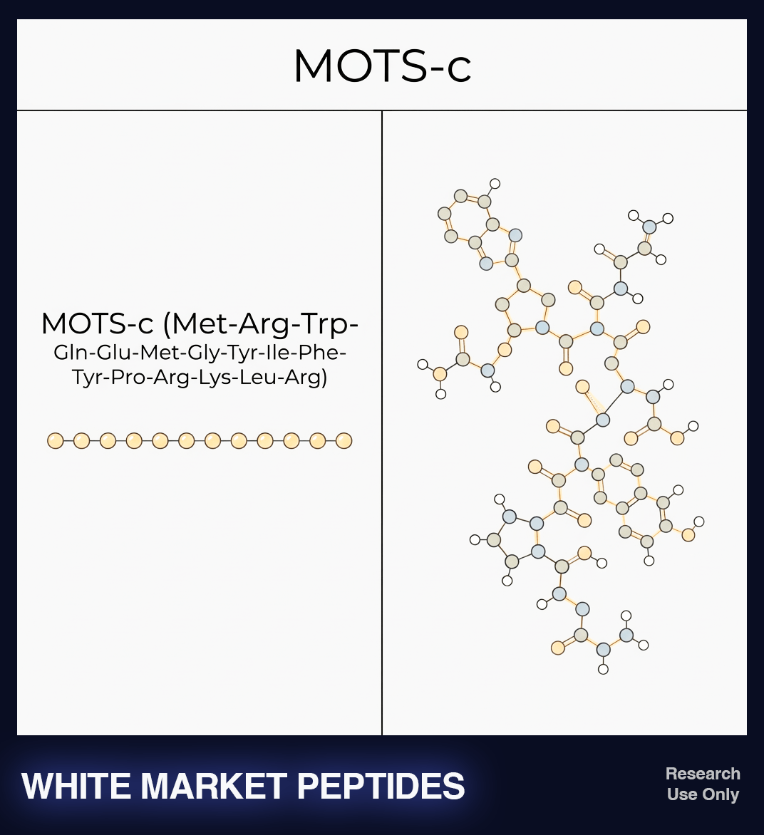 MOTS-c (10 mg)