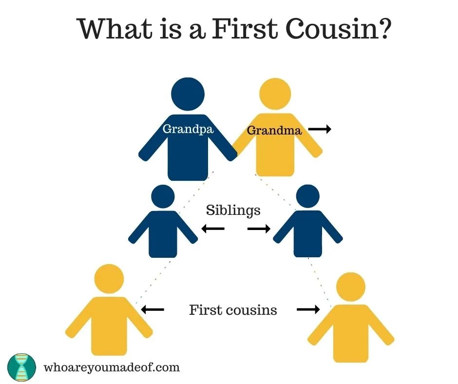 What is a first cousin?