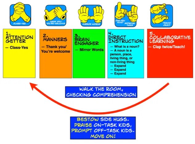 Whole Brain Learning Pdf Brain Classroom - High Quality Minimal Design - Desktop