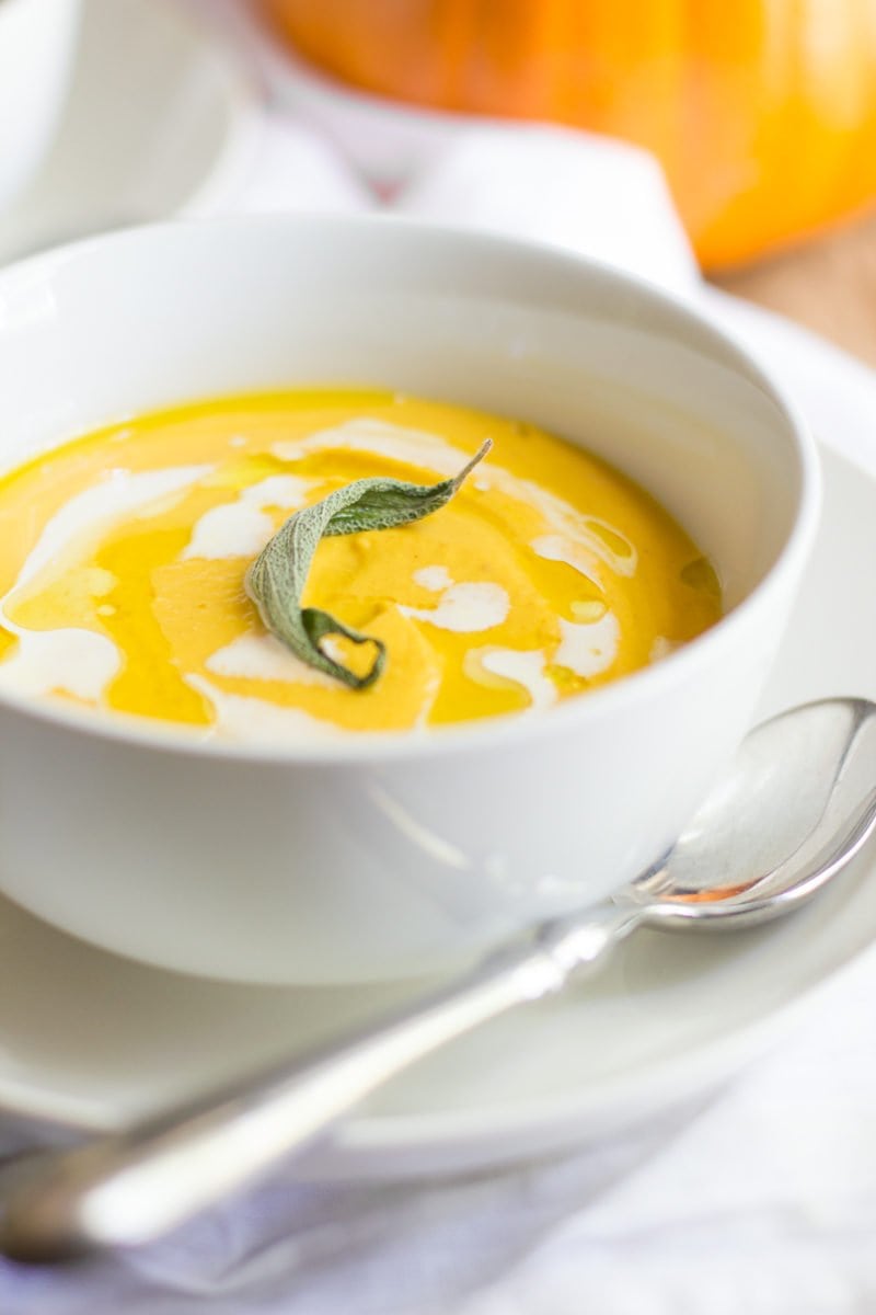 Butternut Squash Soup Ninja Blender