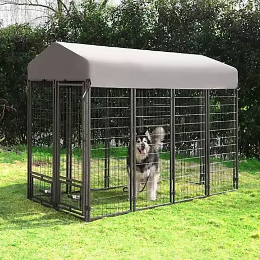 Ultimate Security and Freedom for Canines with KennelMaster Welded Wire Dog Kennel