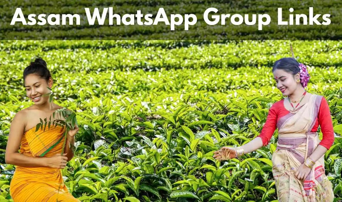 Assam WhatsApp Group Links