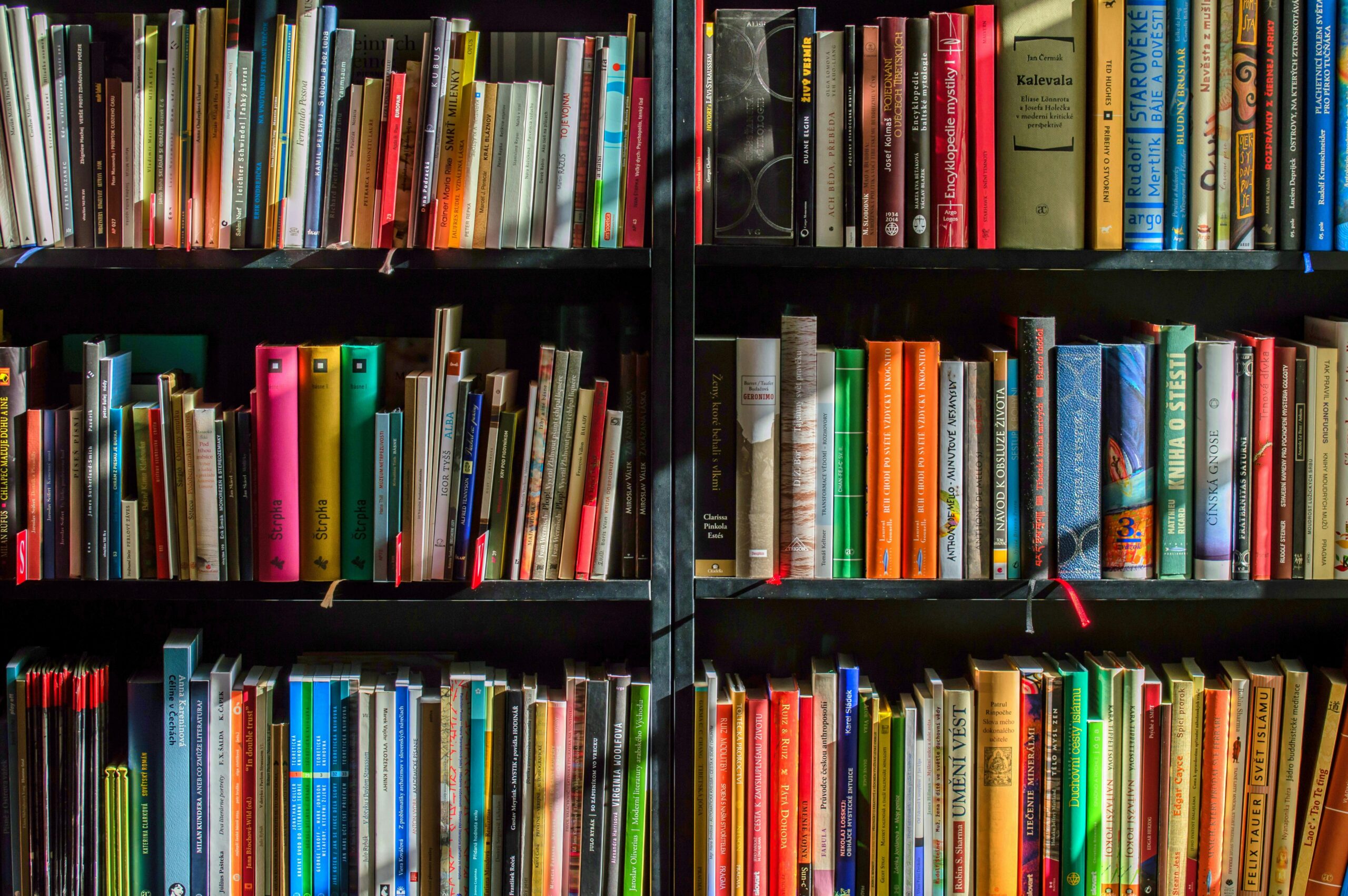 Three bookshelves of books