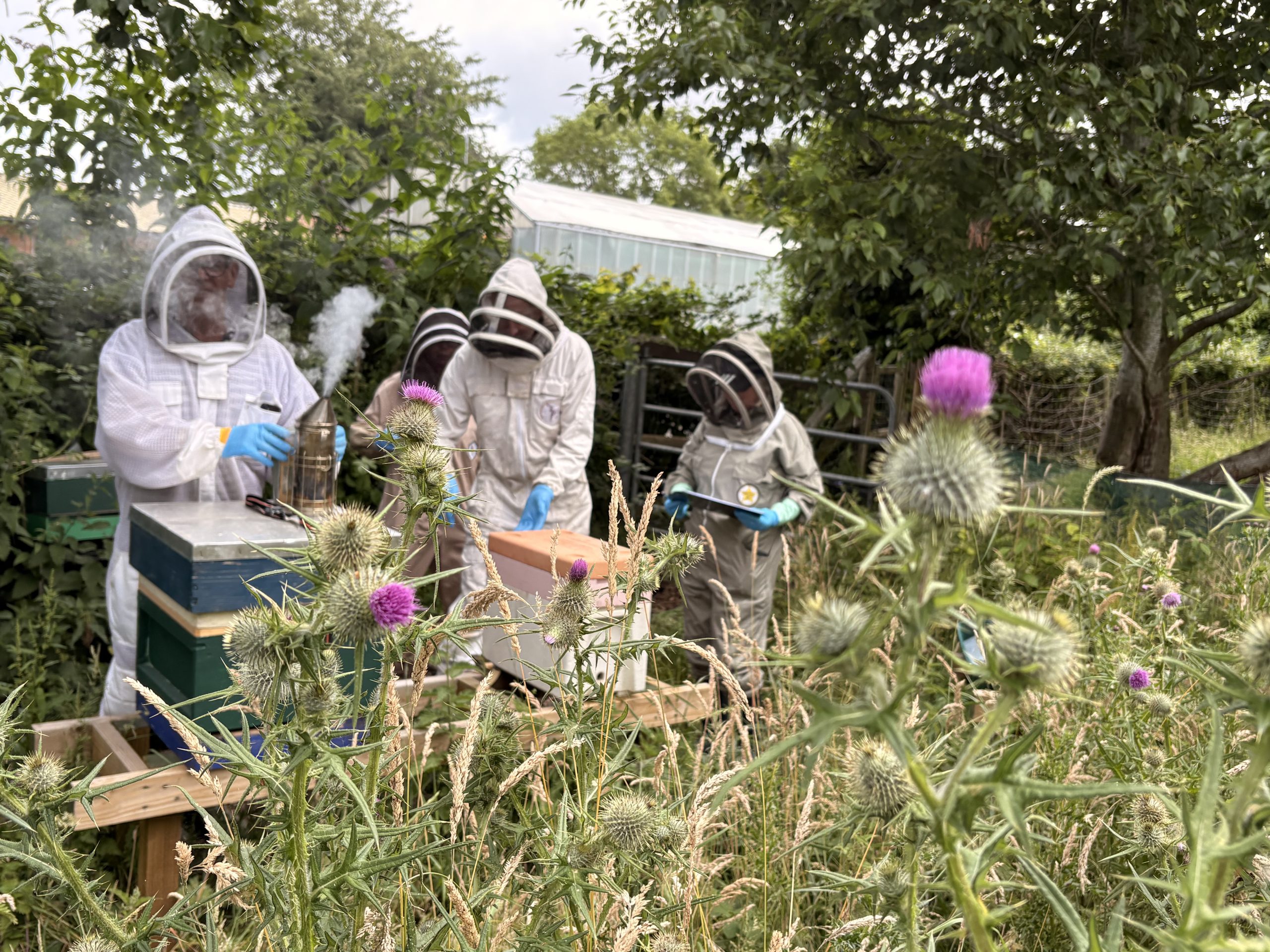 Association Apiary Association Apiary