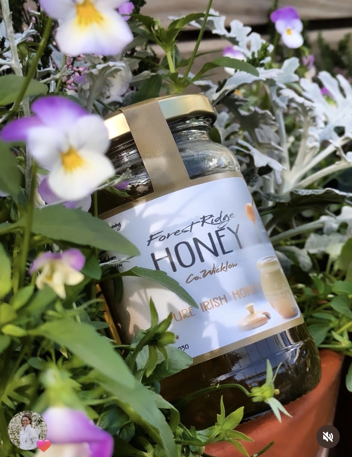 Dermot Fanning Honey