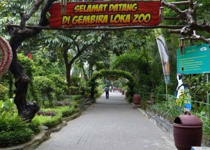 Membandingkan Struktur Teks Recount (The Generic Structure of