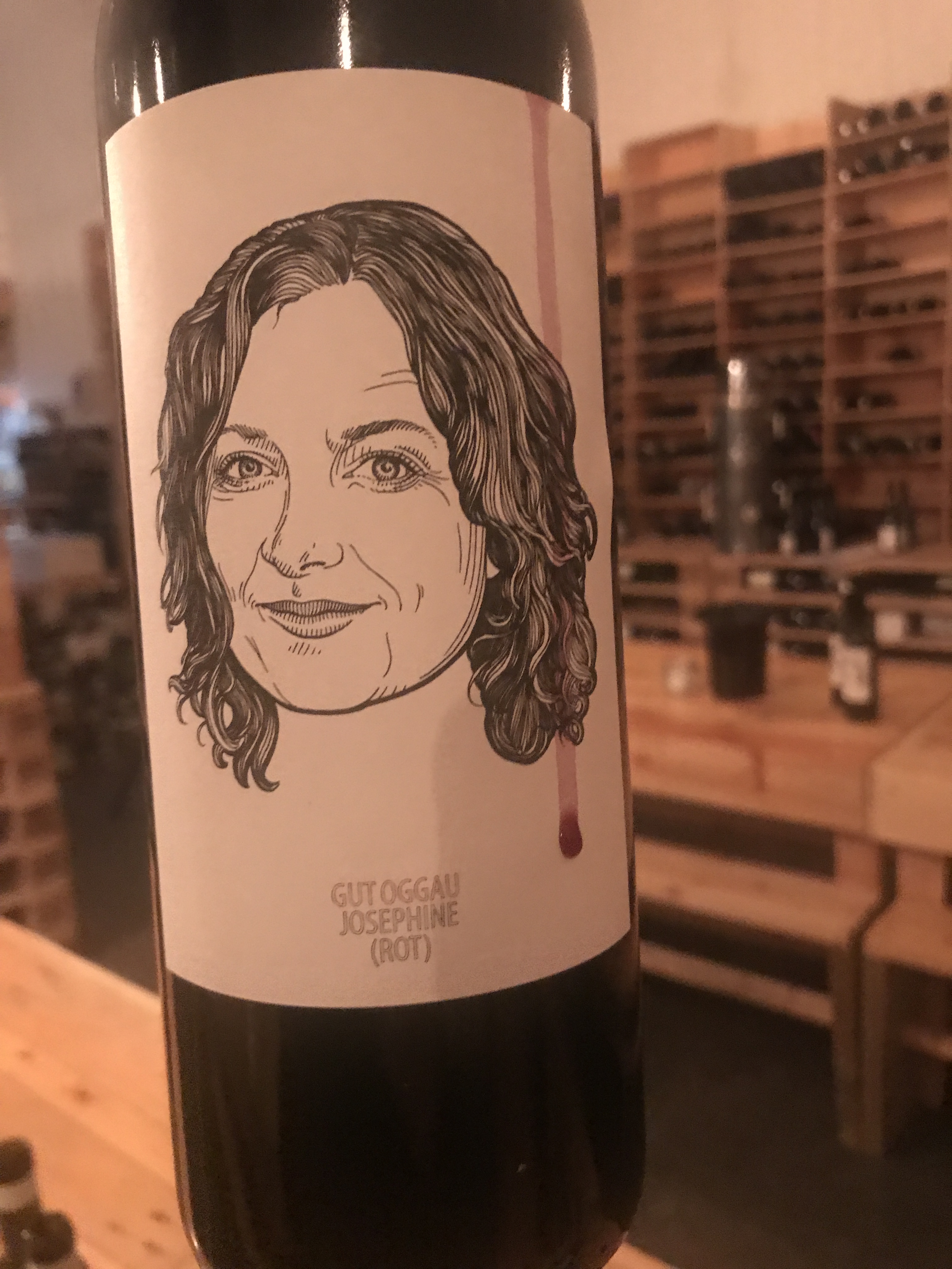 Gut Oggau Family Reunion | David Crossley's Wide World of Wine