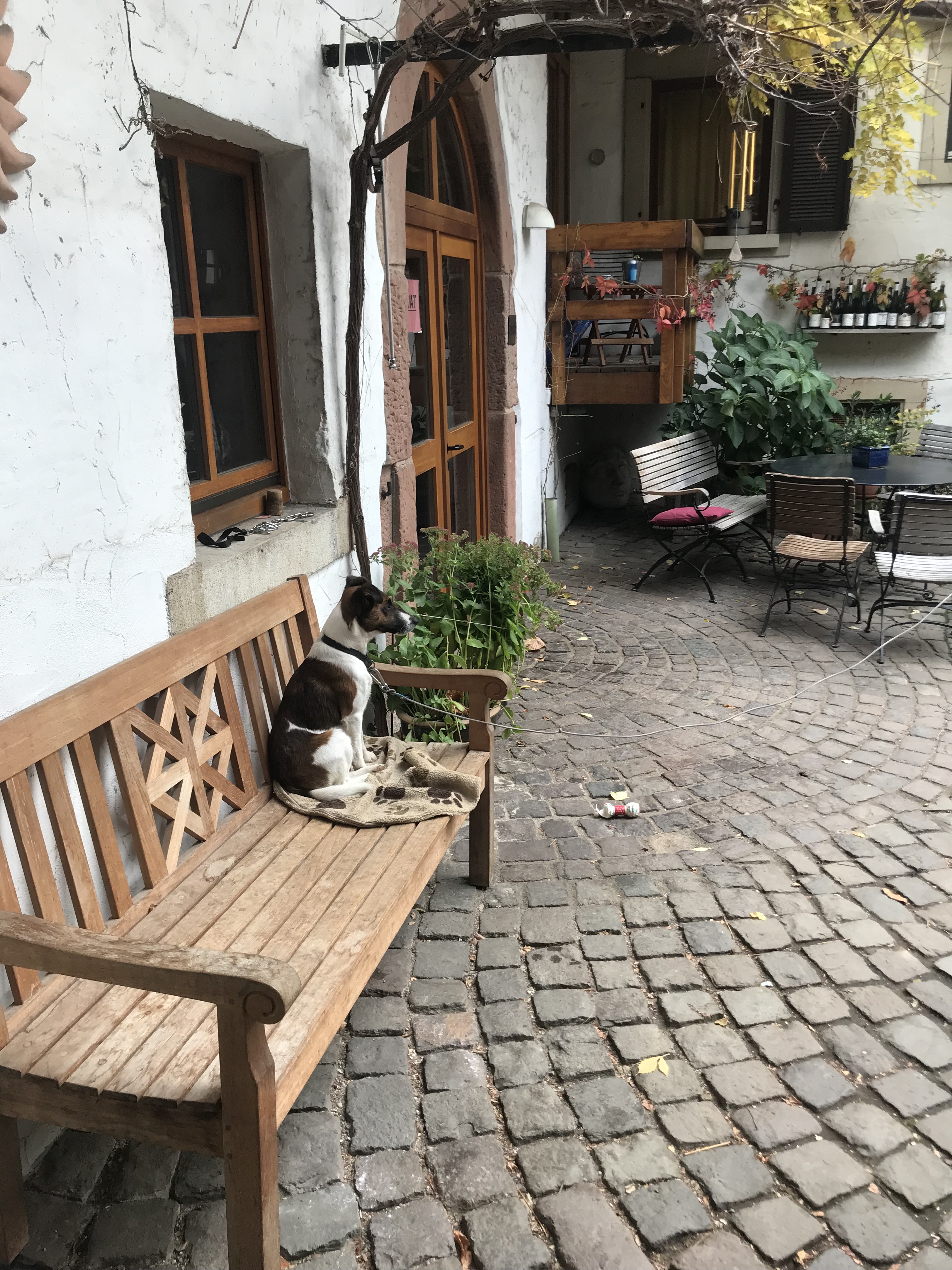 DC1C6509-B75F-4CE5-A3DB-E0CFD855B2C4