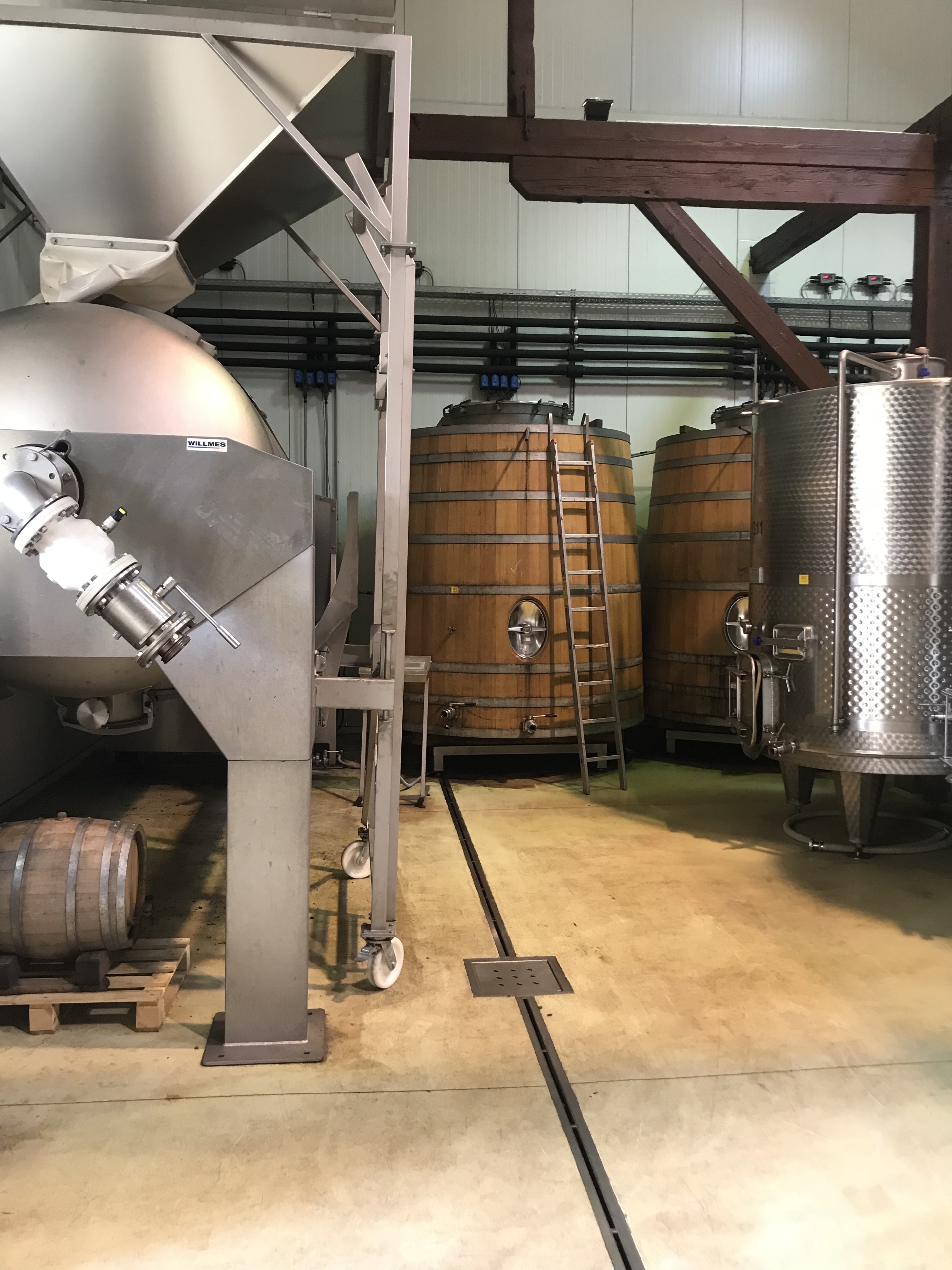 6A95BF0E-E4E0-4FF6-8018-9D42023ABF6C