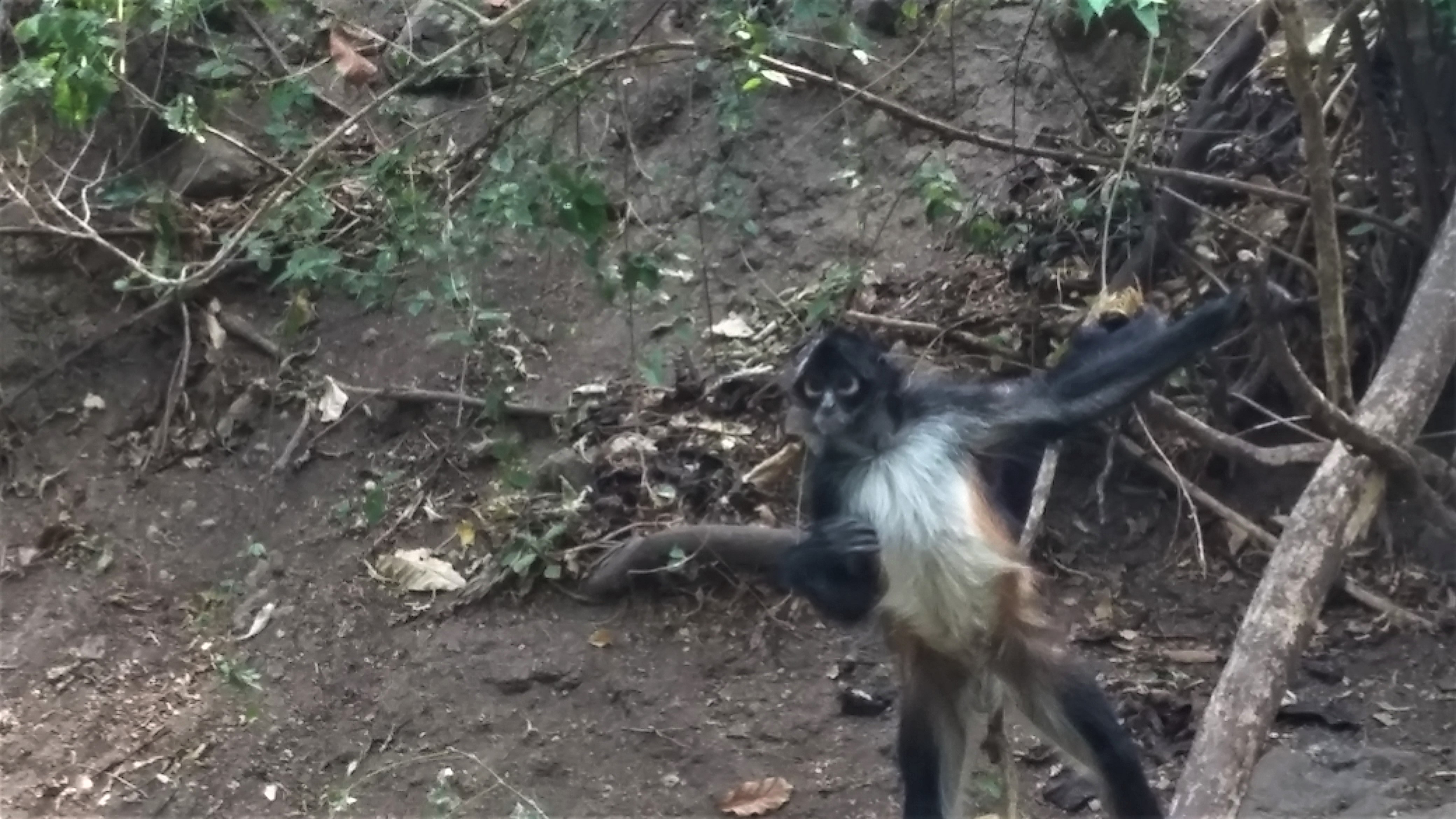 Reserva Natural Atitlan