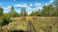 Узнать стоимость и заказать тур на сайте или по телефону +7 . Puteshestvie V Proshloe Na Retro Poezde Ekskursiya Po Uzkokolejke Na Torfopredpriyatie