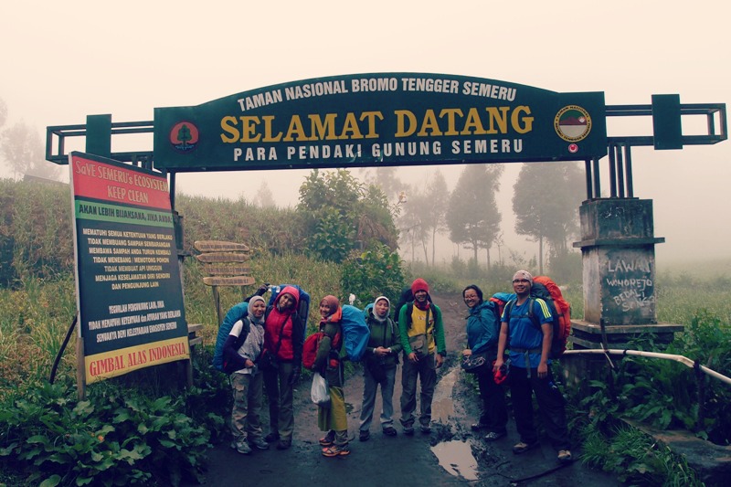 full team