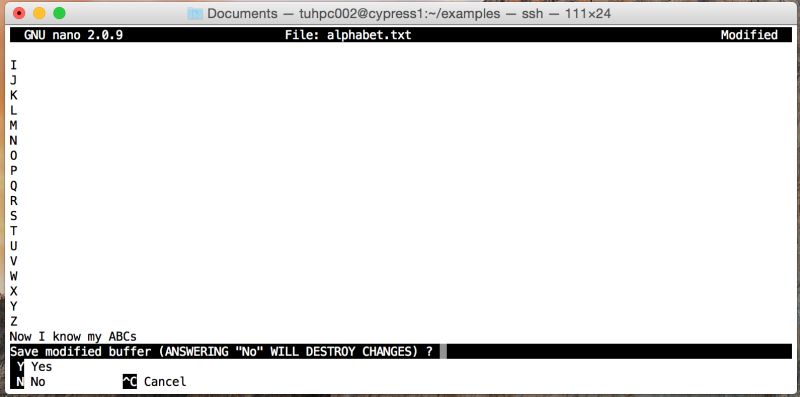 Cypress Using Hpc - Colorful Art Collection - Mobile Quality