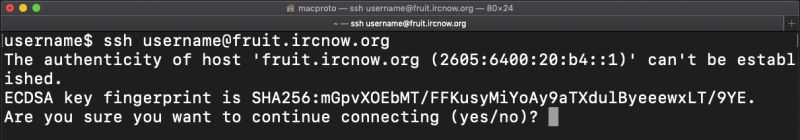 Ircnow Password Schemes - Premium Mountain Art - Desktop