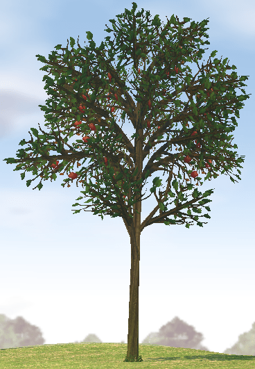 Tree standee party prop decoration standup photo booth prop background backdrop party decoration decor scene setter cardboard cutout : Apple Tree Prop Mabinogi World Wiki