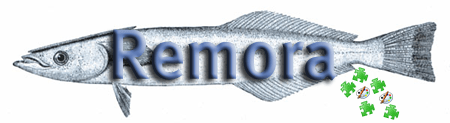 Remora, aka the suckerfish