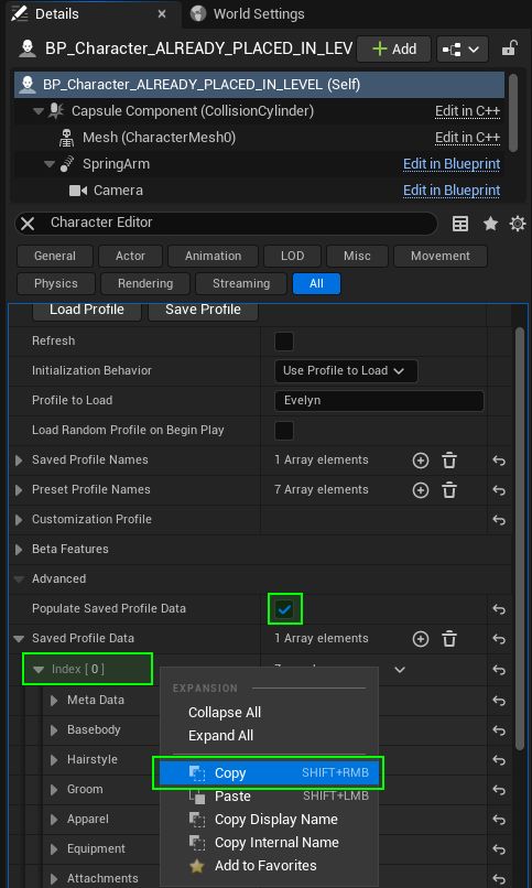 Persist Customization Profiles For Packaging Character Editor - Incredible Nature Photo - 4K