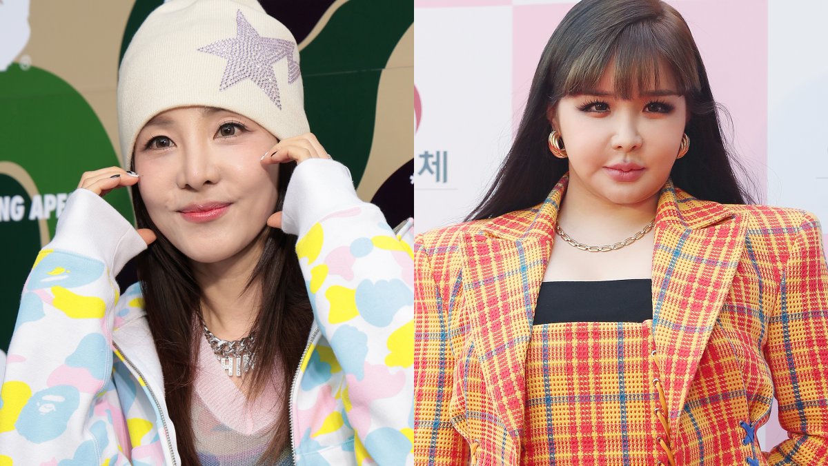 Did Sandara Park Unfollow Park Bom? Fans Notice Change After Recent Controversy