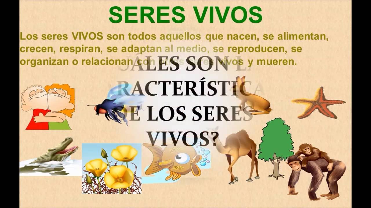 Los Seres Vivos Biologia Conjunto Material De Organización Wikisabio