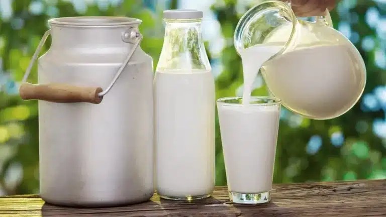 dairy milk