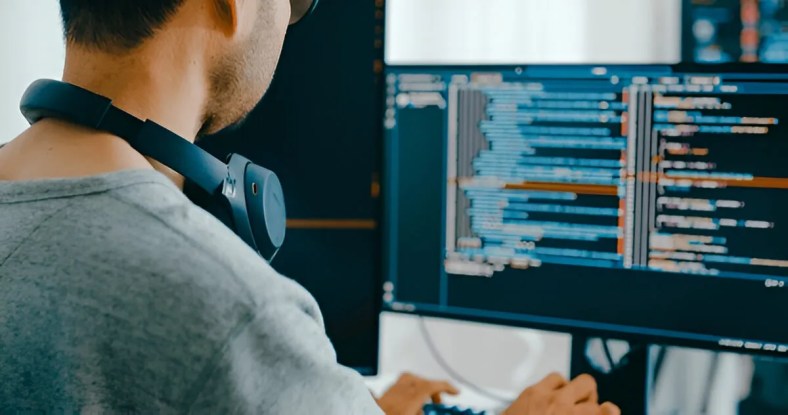 web developer