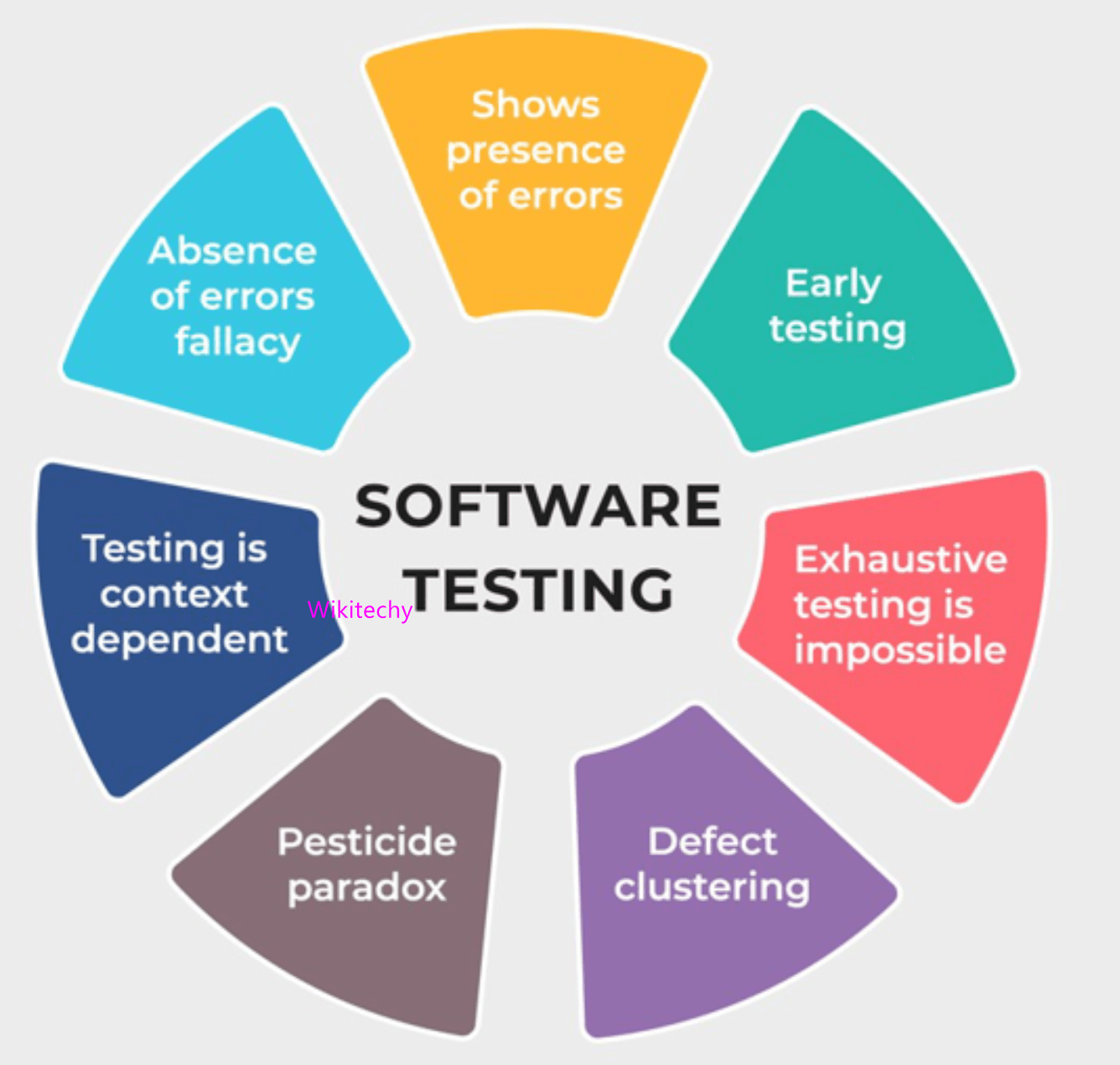 Software testing principles