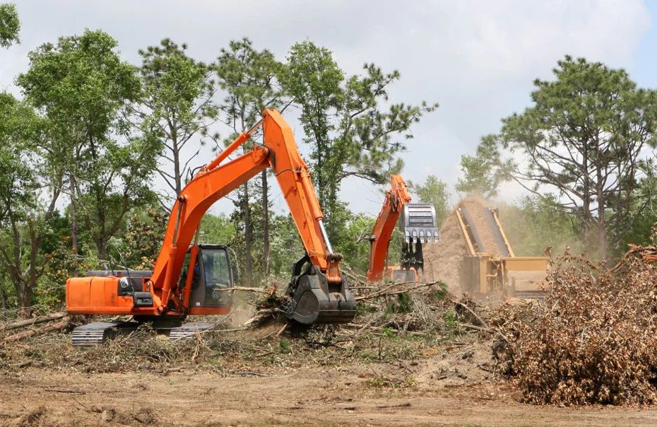Why Wilcox Crane Service is the Premier Choice for Crane Services in Your Area