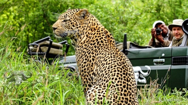 Picking The Right African Safari Operator