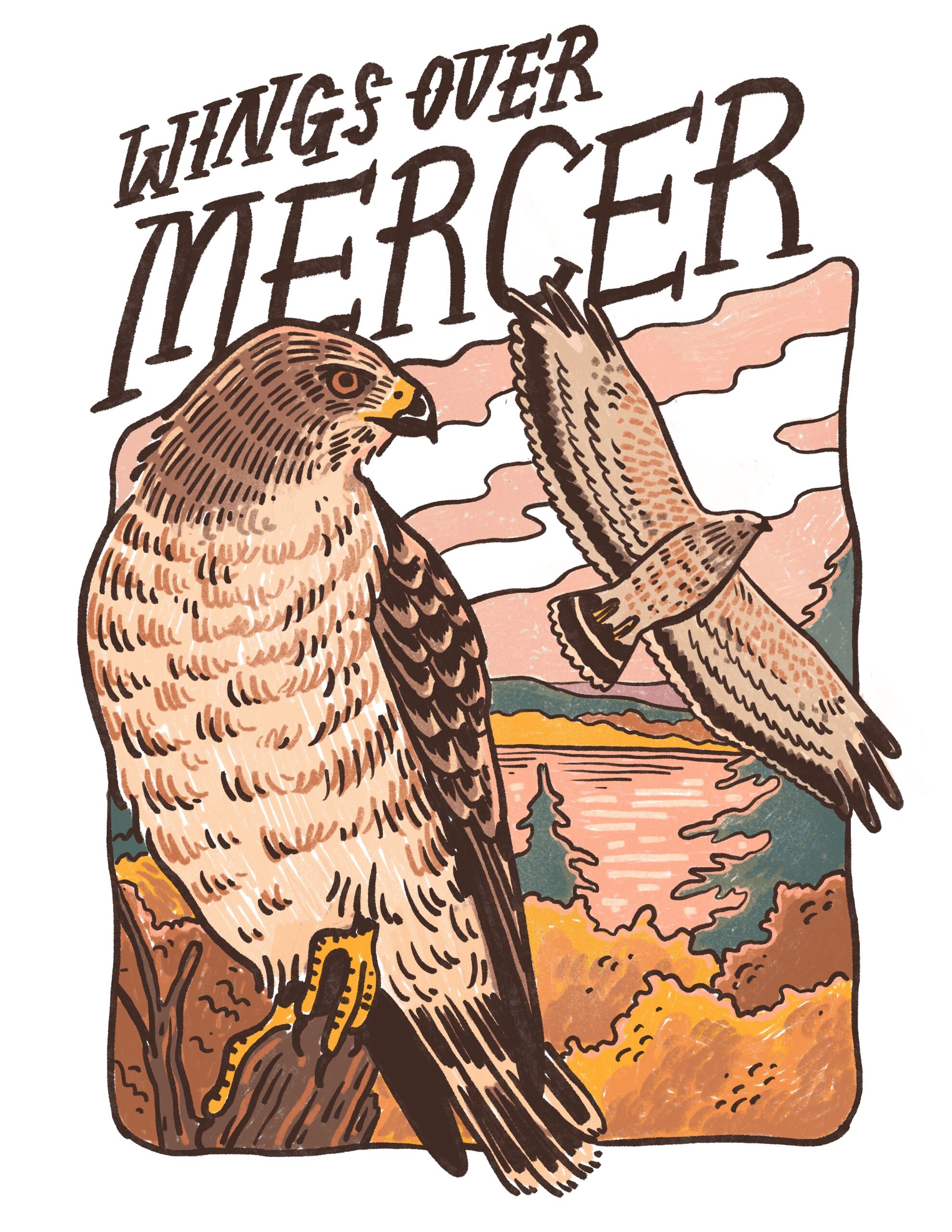 Two illustrated hawks