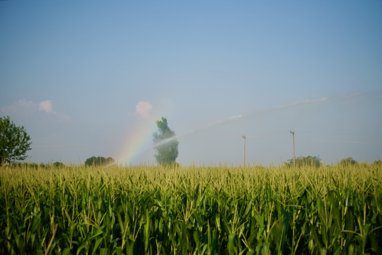 Draining the Lake of Giannitsa: From Malaria-Ridden Swamp to Lush Farmland