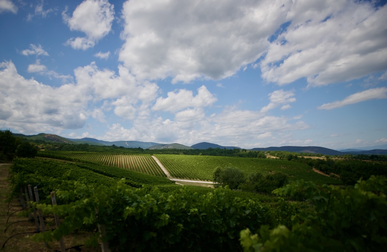 The Wine That Led Us to Kir-Yianni
