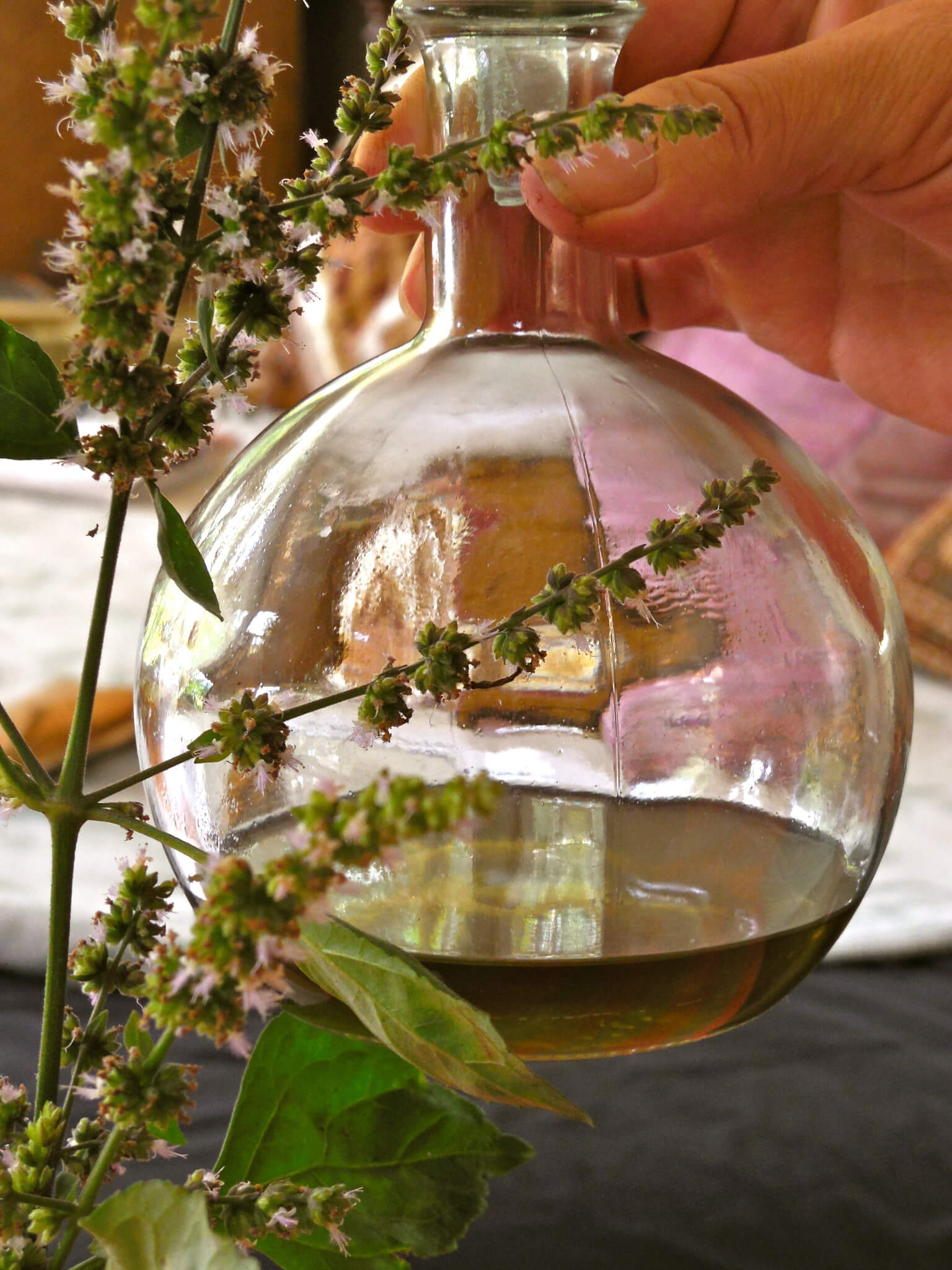 Herbal Alchemy