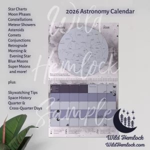 Custom Star Map Star Chart Map Wild Hemlock Promo 1