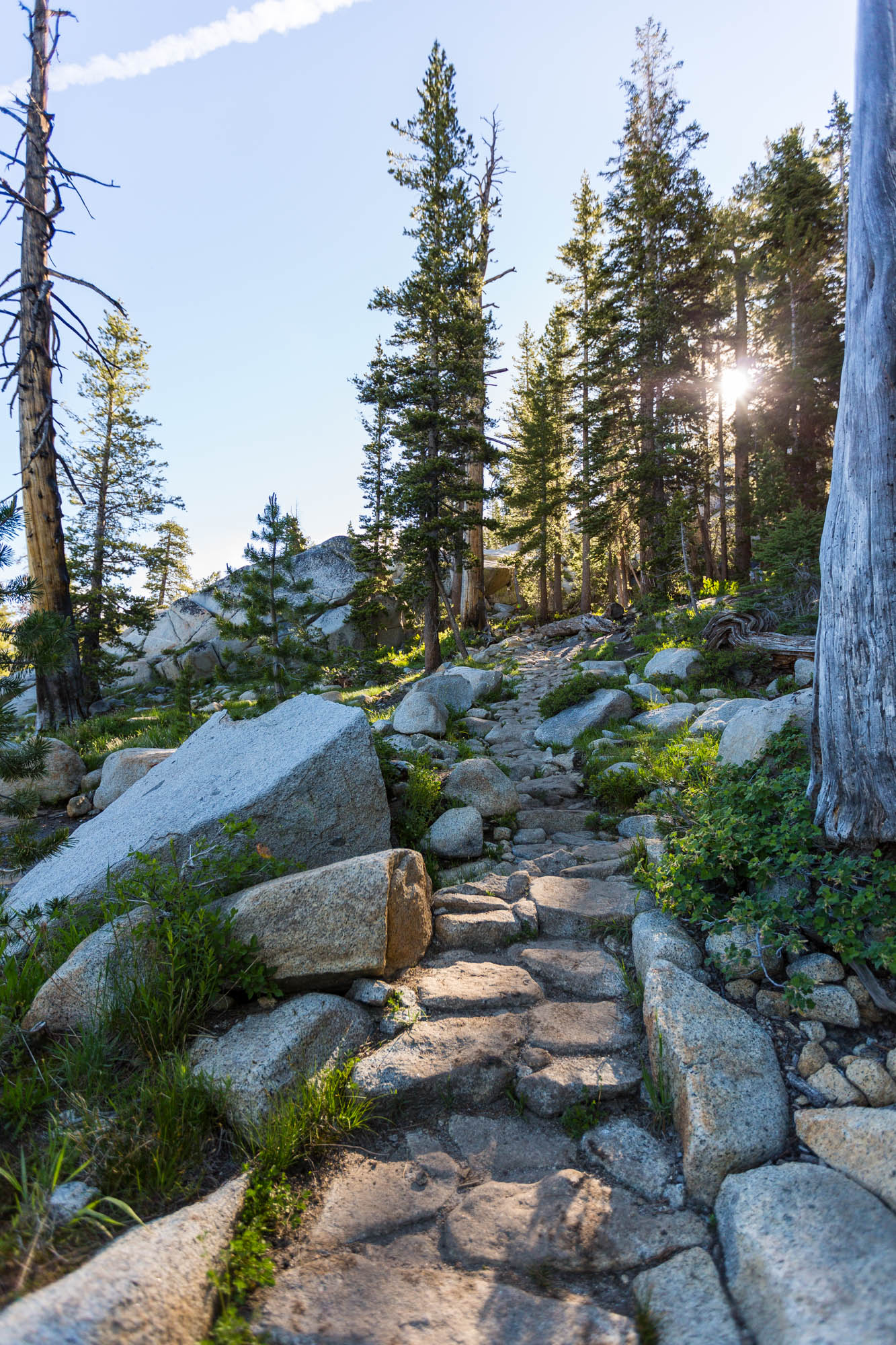 The Trail