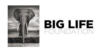 Biglife Logo By Gd3sign On Deviantart - Sunset Patterns - Perfect High Resolution Collection