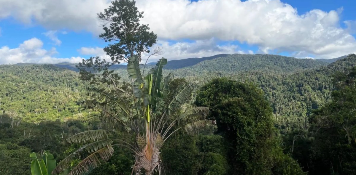 ASSR view