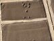 Adobe bricks in form with animal paw prints in them