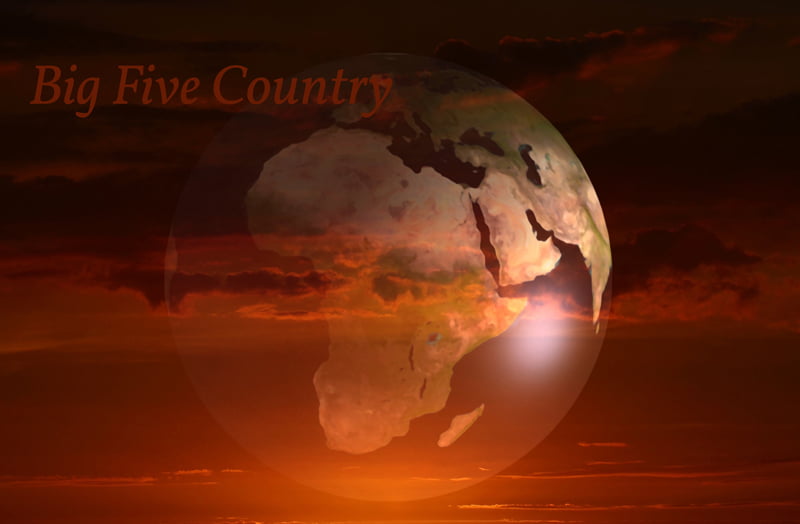 African Wildlife The Big Five Wildmoz Magazine