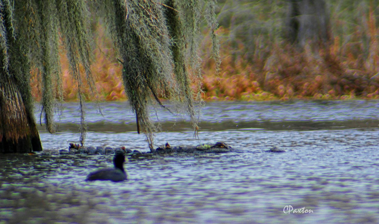 p1070894web.jpg?fit=1200,710&ssl=1